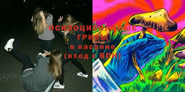 ешки Алексеевка
