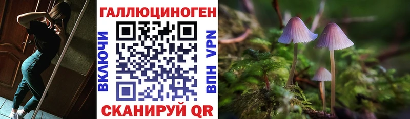 Галлюциногенные грибы GOLDEN TEACHER  Зверево 